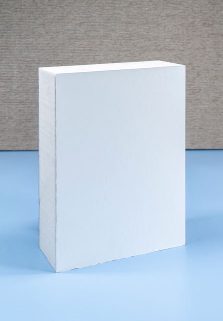 CFRT PET Sandwich Panel