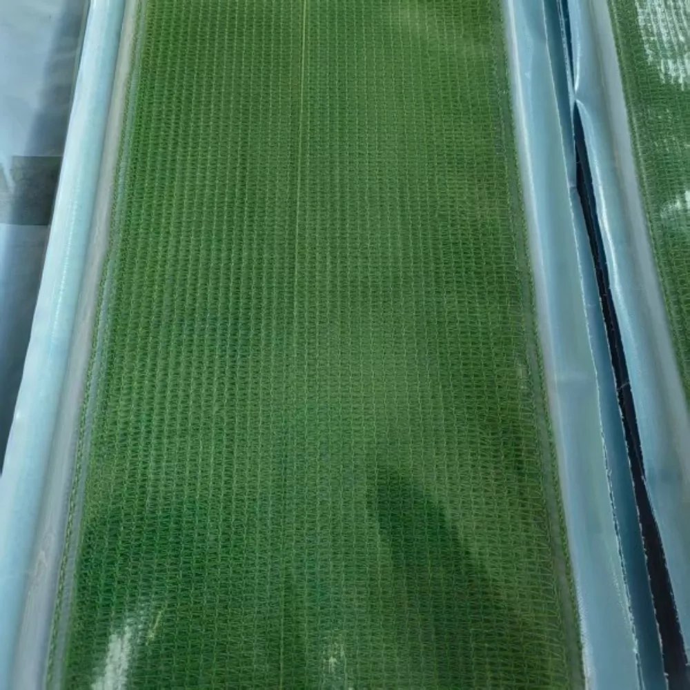 微信图片_20260518 01.jpg